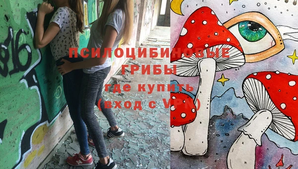 амфетамин Белокуриха