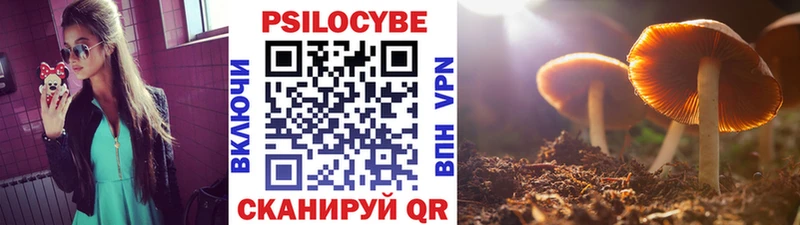 omg ссылки  Всеволожск  Псилоцибиновые грибы MAGIC MUSHROOMS 
